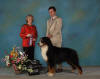 Best of Breed, Best of Winners, C.C. Estrie, 2006.